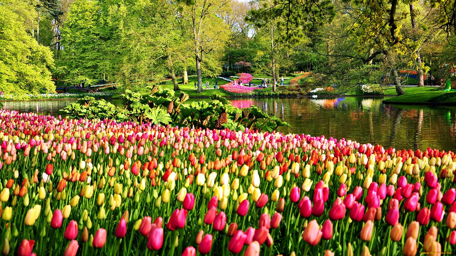 keukenhof park, netherlands, , , keukenhof, park